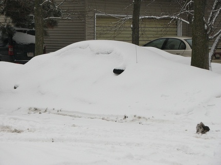 a neighbor's car